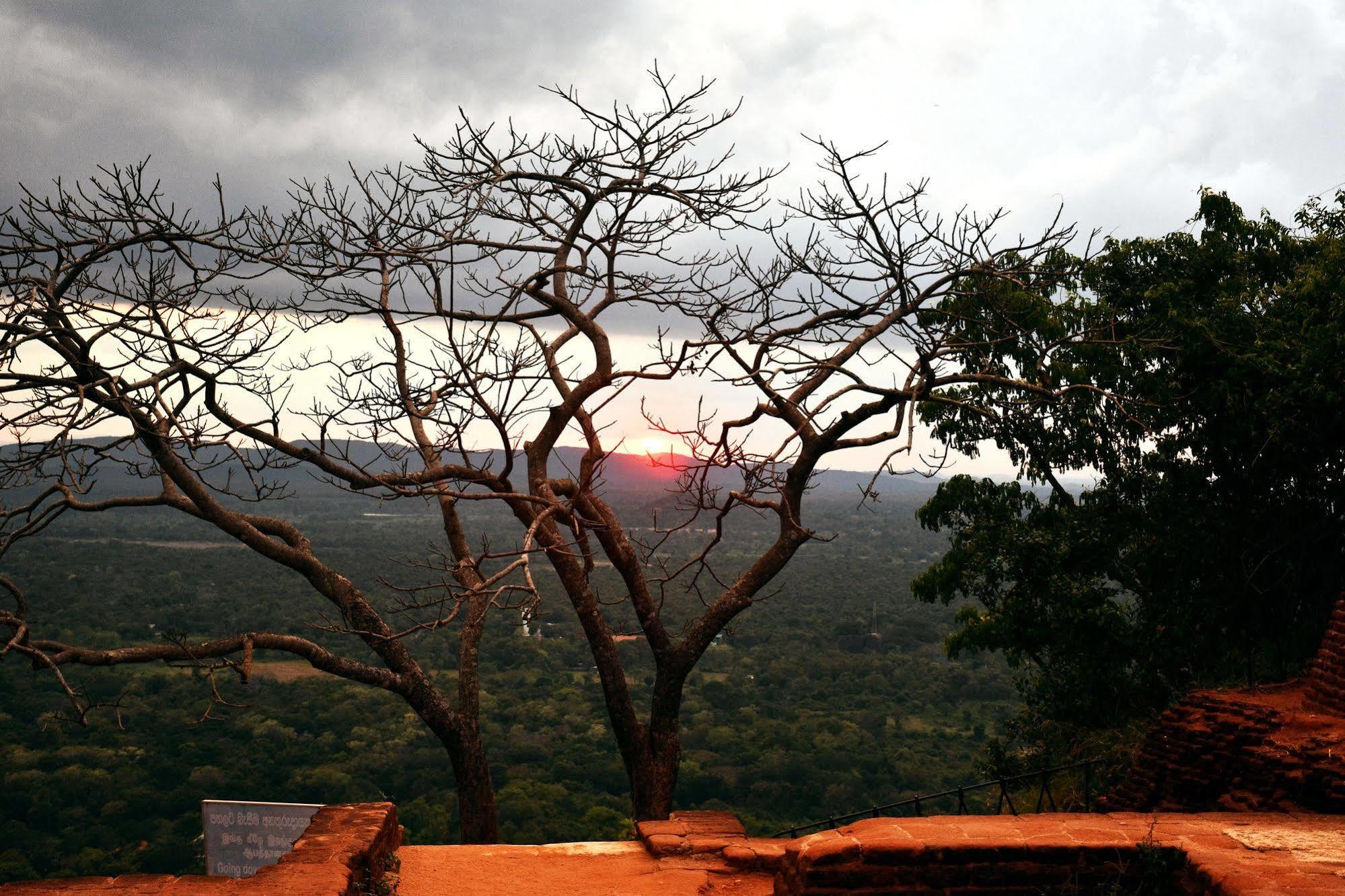 Cassandra Culture Resort Sigiriya Dış mekan fotoğraf